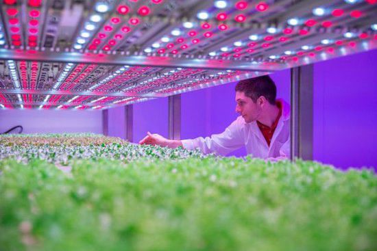 淺談我國LED農業照明應用兩大難點