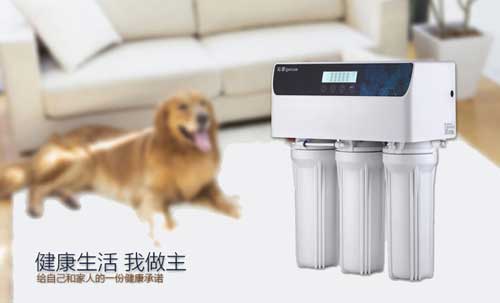 建設(shè)品牌形象 中國(guó)凈水器十大品牌是如何貫徹執(zhí)行力的?