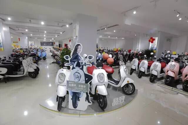 分析：2016年是中國(guó)電動(dòng)車行業(yè)的分水嶺