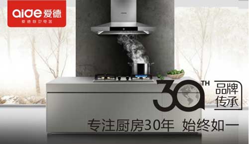 愛德廚衛(wèi)參與“中國十大抽油煙機(jī)品牌”評選