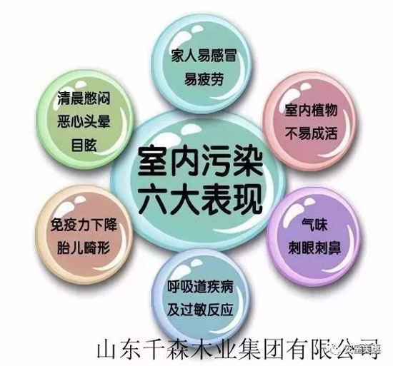 山東千森木業告訴你名牌產品是如何煉成的
