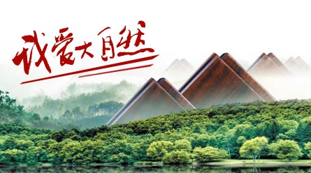實(shí)木地板哪家強(qiáng)?盤點(diǎn)出最新的中國十大實(shí)木地板品牌