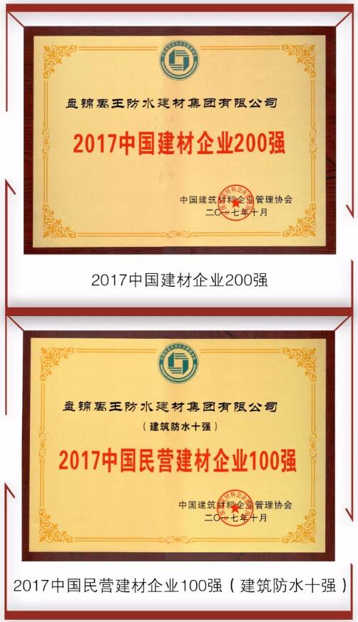 防水材料品牌榮譽(yù)|禹王集團(tuán)榮獲中國建材企業(yè)200強(qiáng)等