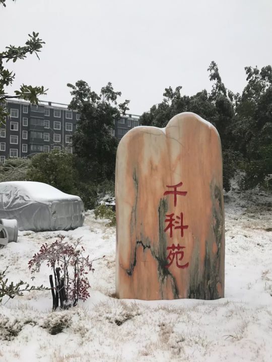 千科潘遠宏：智能產品、智慧營銷一手抓，智能終端是品牌最后浪潮