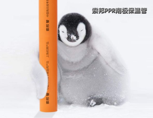 品牌產(chǎn)品|索邦PPR南極保溫管，企鵝寶寶最愛的高端管材