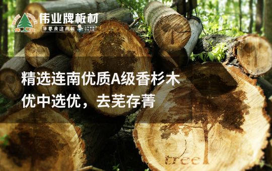 品牌發展|偉業牌板材25年匠心制造，中國板材C位品牌