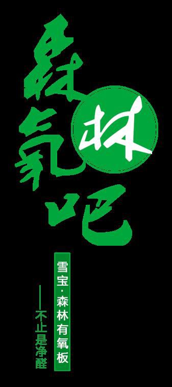 品牌產(chǎn)品|雪寶森林有氧板，有效釋放負(fù)氧離子長達(dá)15年