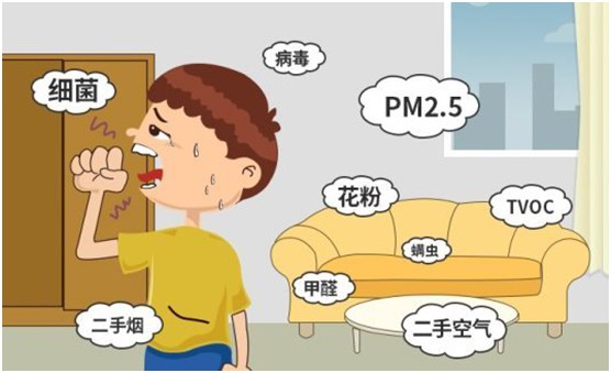 豐葉板材再創新高峰，榮獲“中國十大品牌”稱號