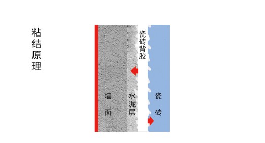 瓷磚背膠粘與不粘，不能作為產品好壞及產品質量的依據