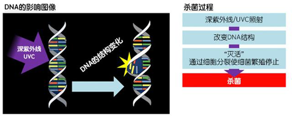 消費者開始關(guān)注到車載空氣凈化器，原來如此重要