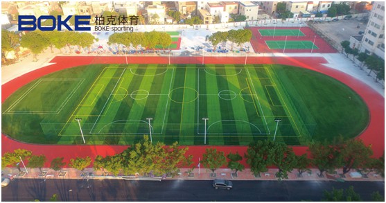 柏克體育：照亮運動之美，智造未來之光